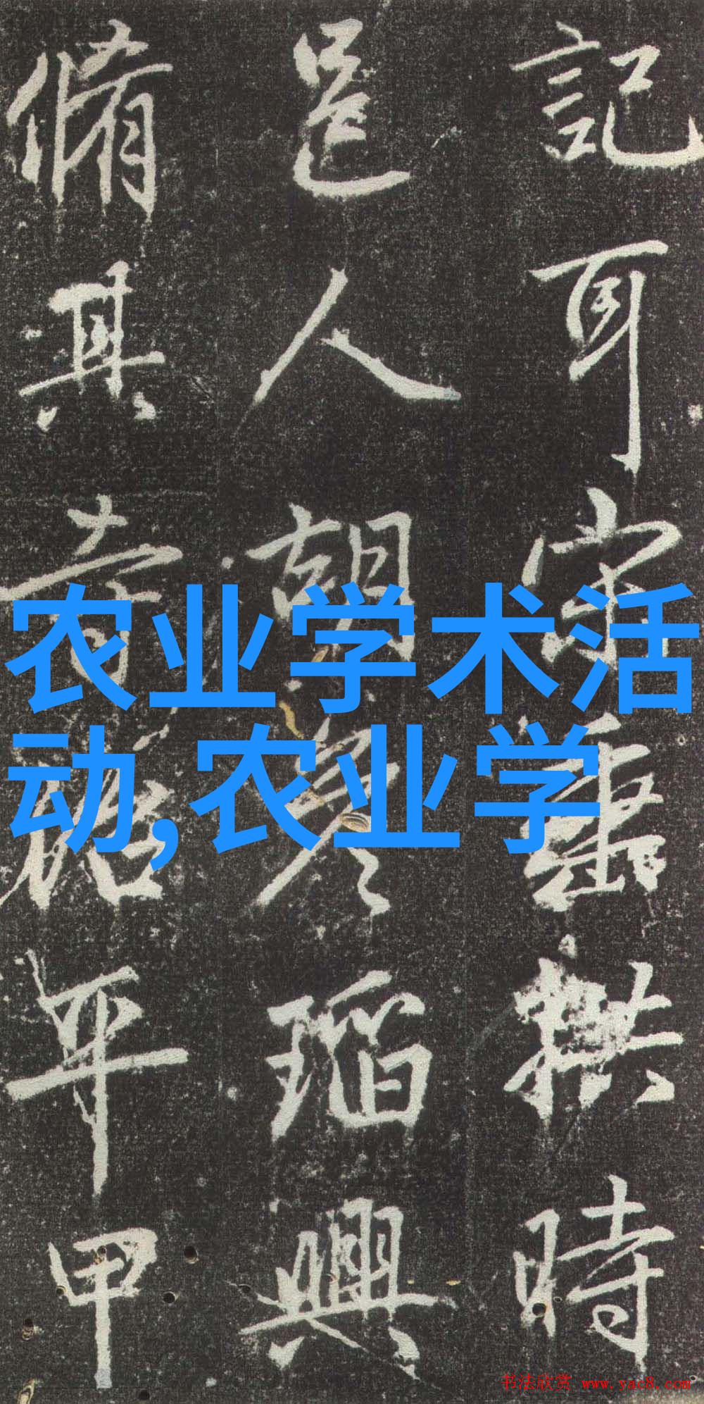 精准扶贫与现代农业最新助农科技的实用性探究
