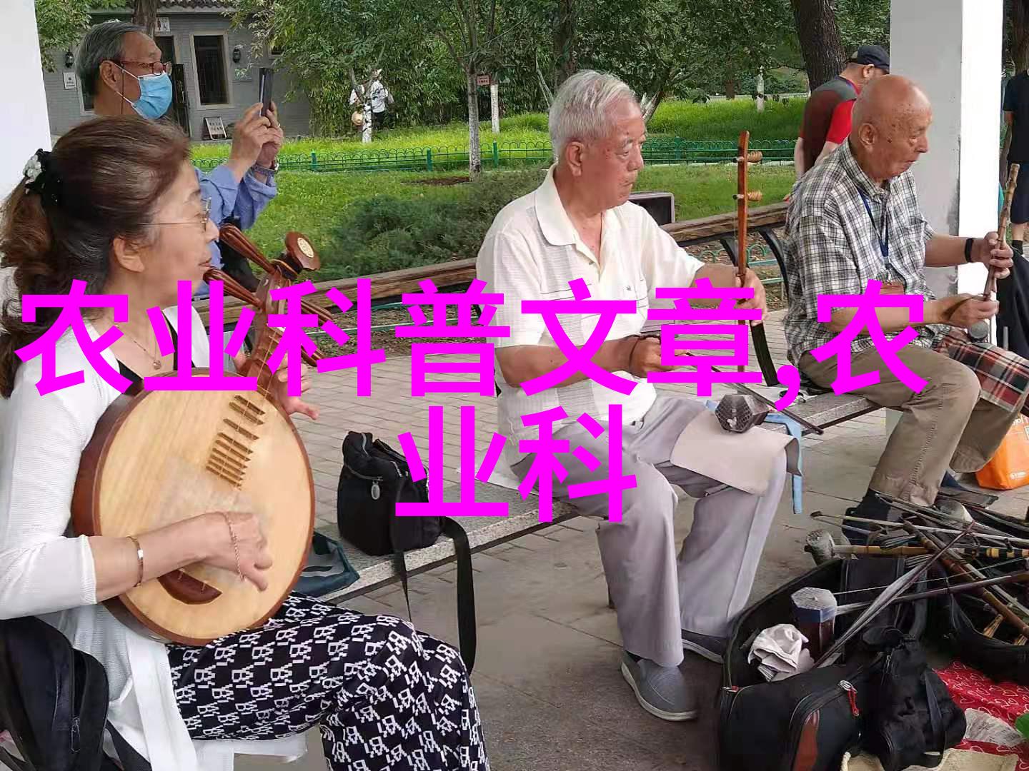 地下爬行的谎言揭秘泥鳅养殖的虚假美梦