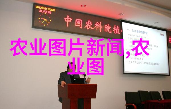 养蜂知识和技术大全视频播放-蜜源之谜揭秘养蜂全程