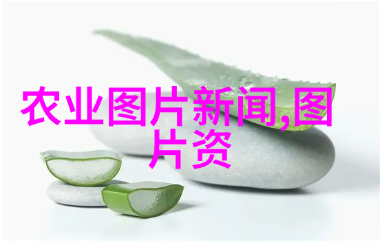 农场新希望现代养殖业的可持续发展之路