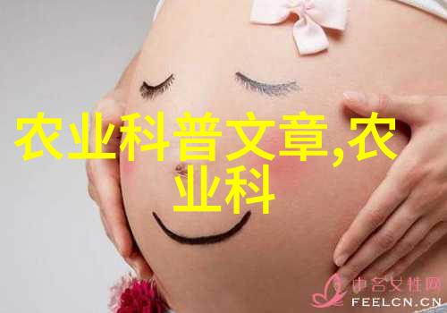 稻谷烘干机革命性技术保障粮食安全