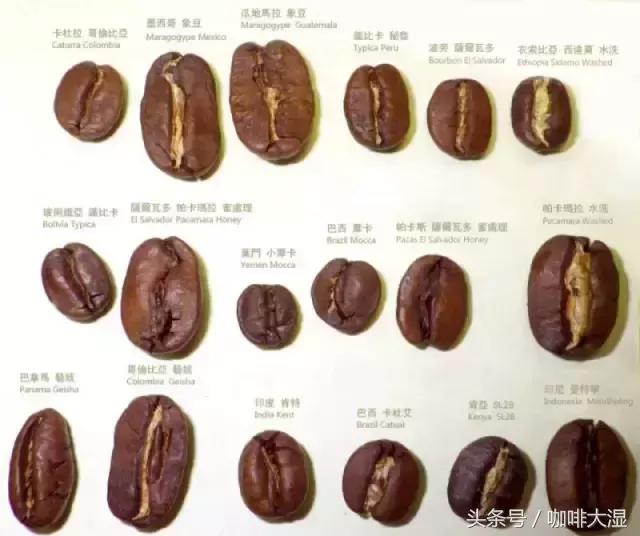 中国养殖网公司名称背后的故事与未来趋势