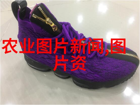中国农业信息网官方网站 - 绿色发展中国农业信息网如何助力新型城乡融合