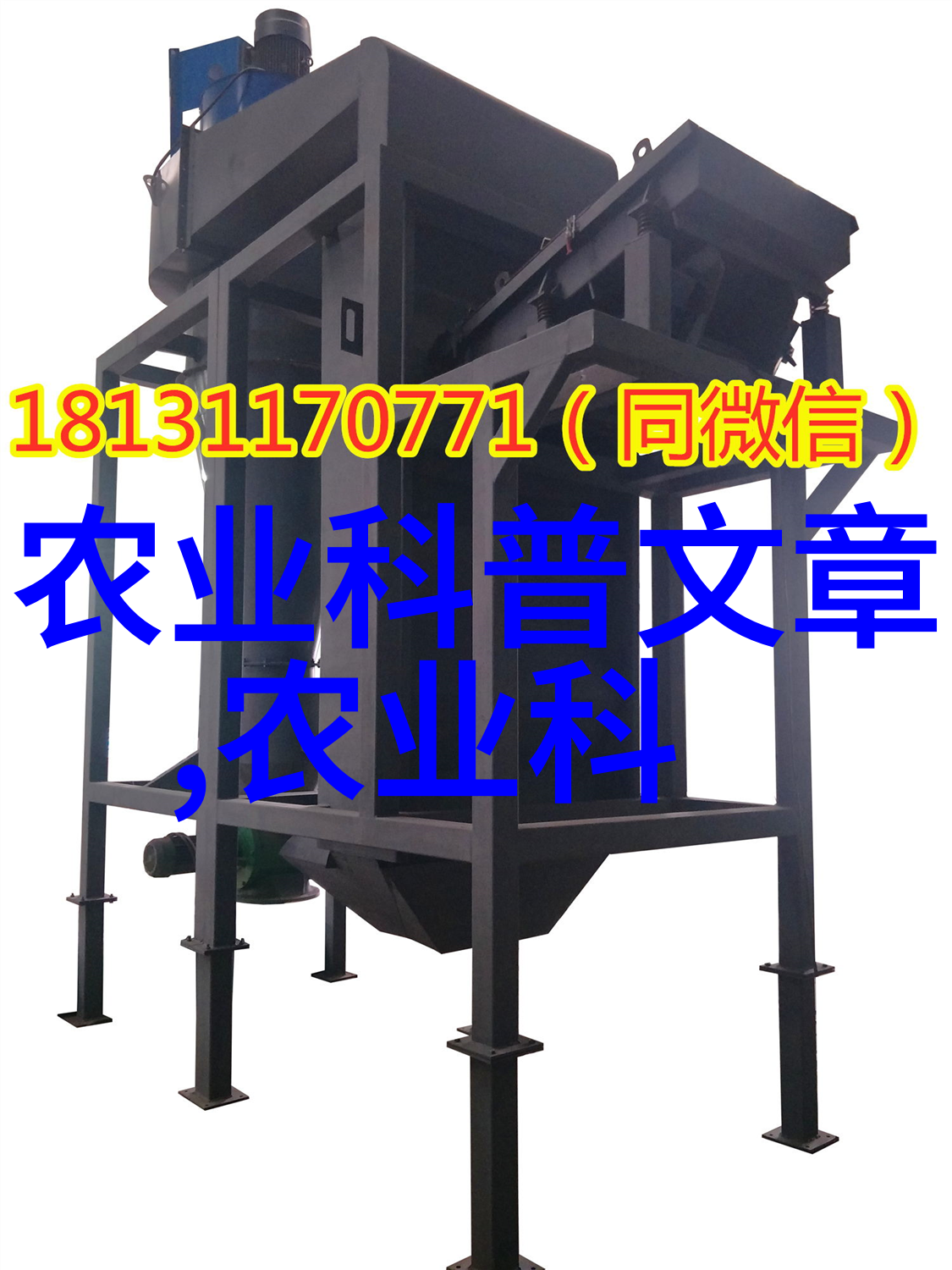 黄栌市场热销10公分精品种植价格走势分析