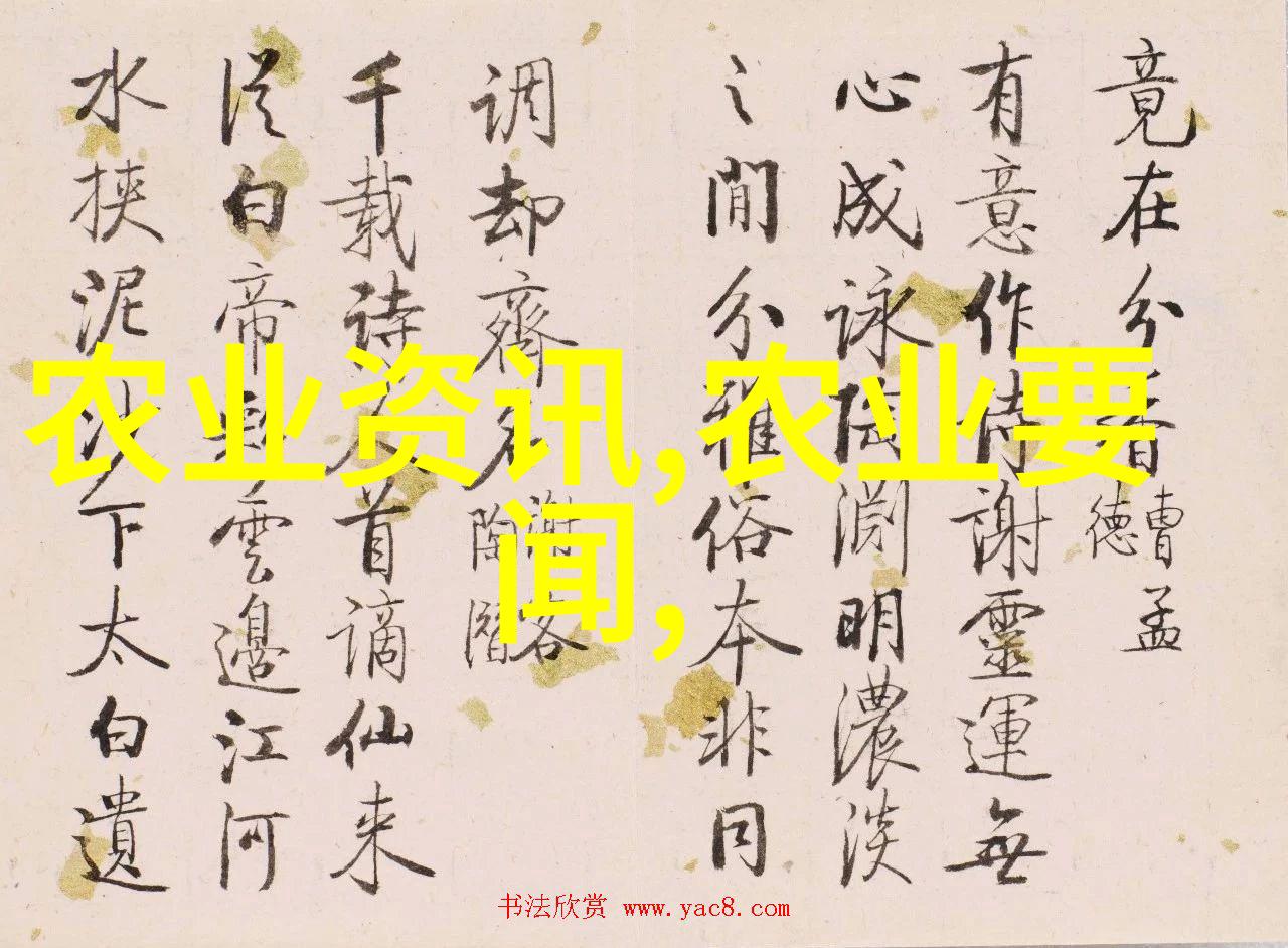 从红到黑从生到熟我对不同种类黑茶的喜爱和感受分享