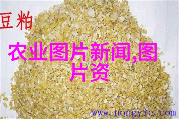秘境药材公司的合作之谜