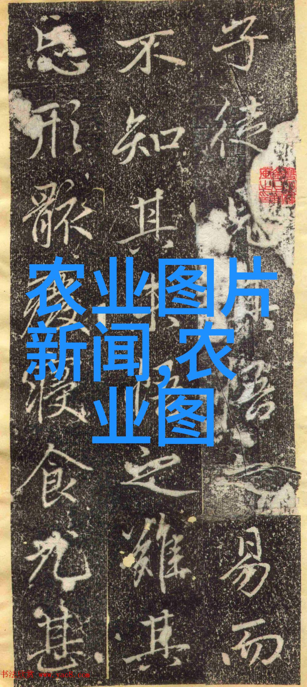陆宴礼温老师教育界的楷模与启迪者