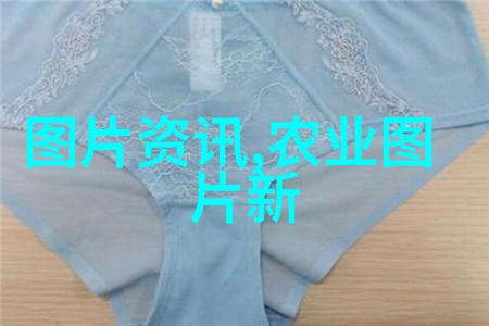 清末才女沈心野茶艺与文学的交融