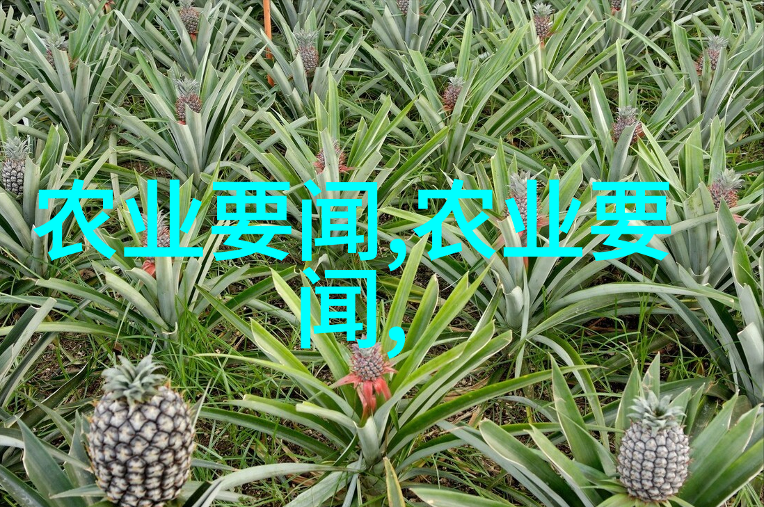 黄粉虫的养殖技术咱们来点黄金养殖我是如何把小黄虫变大的