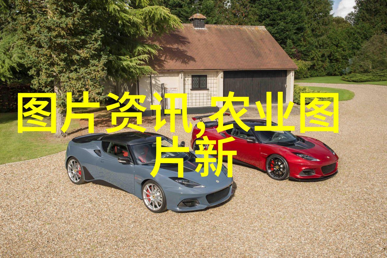 家庭无土栽培我的小花园大冒险