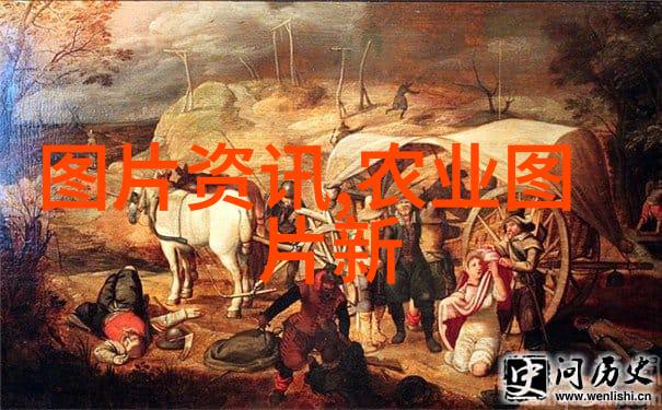 药山贵珍四种一斤40万的中药奇珍