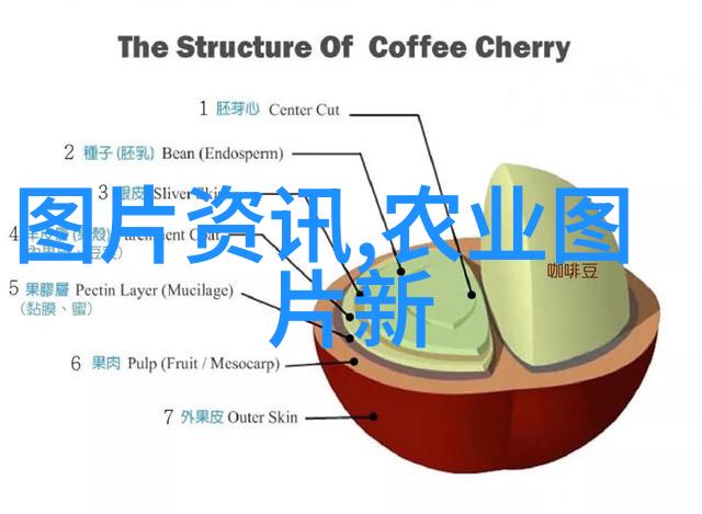 秸秆打包机绿色循环的智慧之选