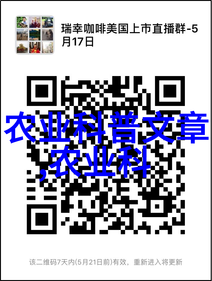 茶的历史简介从古老的神话到现代文化的象征