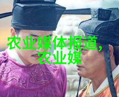 探索农卖网背后的技术创新之路