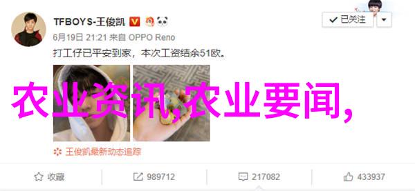 乌桕小宝15公分美丽盆栽的经济实惠选择
