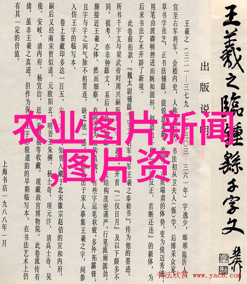 笋用竹培育使用技术幼林抚育篇