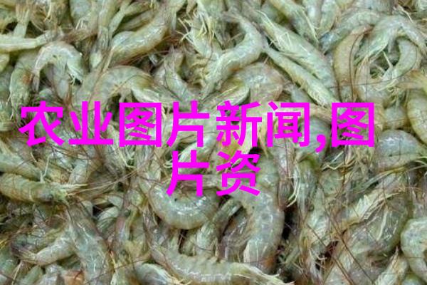 焦急万分的射手座命运的紧张考验