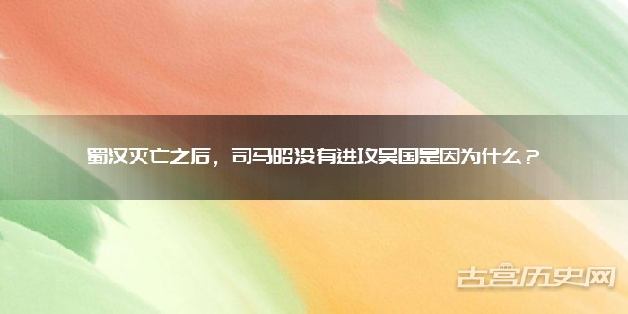 红果冬青树热销15一18元的价格让园艺爱好者心动
