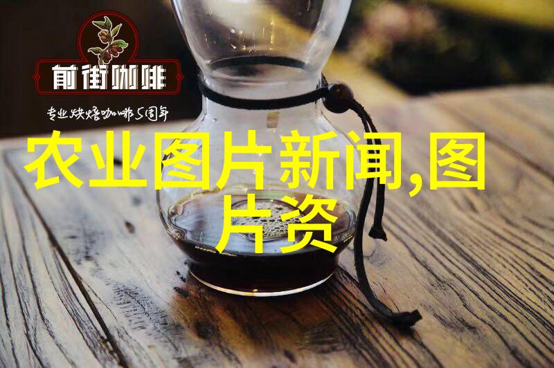 花种子品种大全探索万千色彩的植物王国