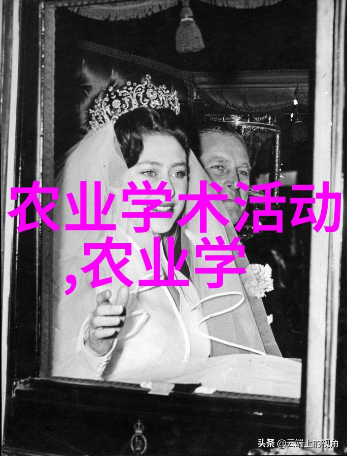 知识的宝库探索世界百科全书的魅力与重要性