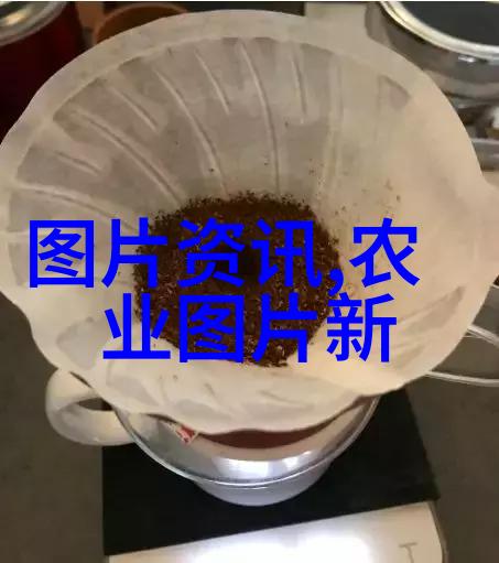 海洋之宝深潜养殖的智慧