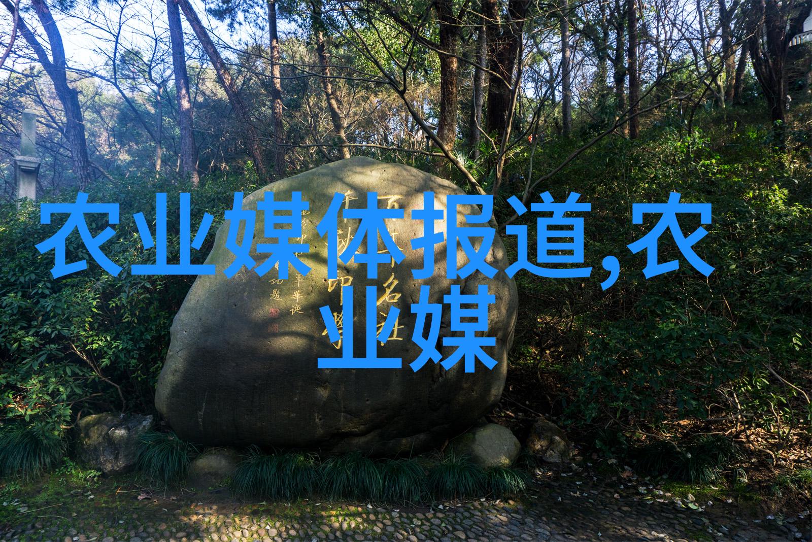 枣树之恋秋日采摘的甜蜜回忆