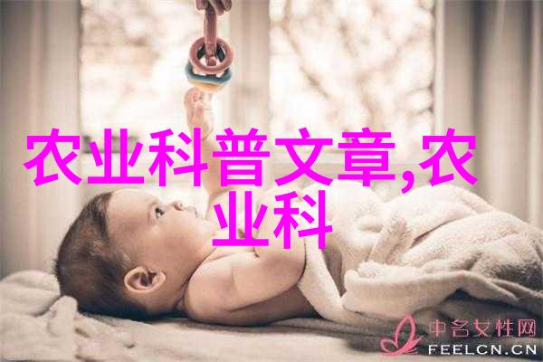 银杏木材特性如何以及它在家具制造中的应用