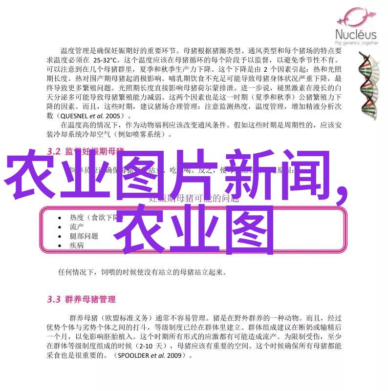 牛津之谜圈养肉牛的高效育种秘笈