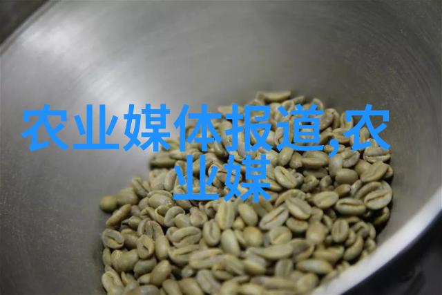 冬日蔬菜的秘密雪菜的故事与营养价值