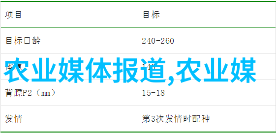 洋葱种植技术要点