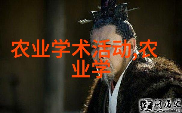 一块板砖闯仙界(奇幻冒险的无限可能)