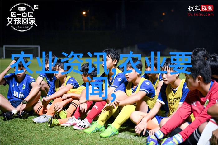 灵异奇遇-绿萝扔了鬼就走了吗一场不可思议的追踪