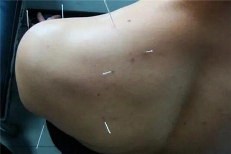 中国科学报 兰州兽医研究所博士后专家人才工作
