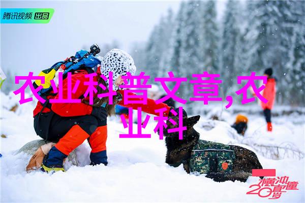 生猪养殖资讯全览从种猪选育到规模化生产的关键要素探究
