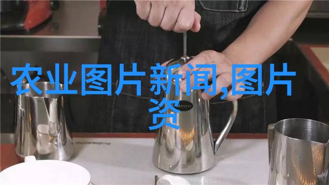 一年的金钱树快速致富的最佳种植选择