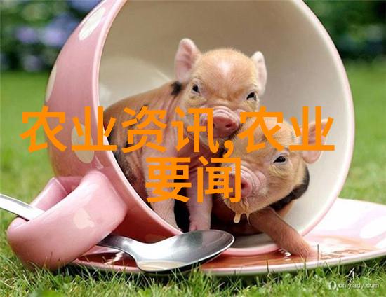 大棚种植技术与管理我的菜园子变丰收田