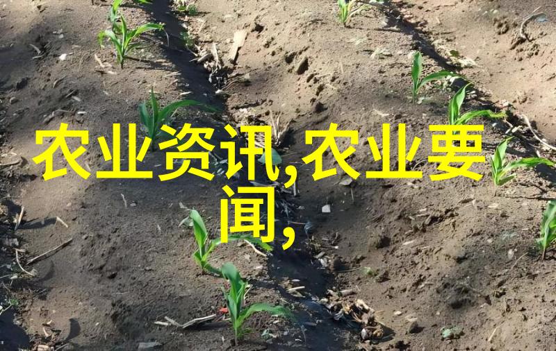 2023年养殖好项目我这儿的花生种植真香