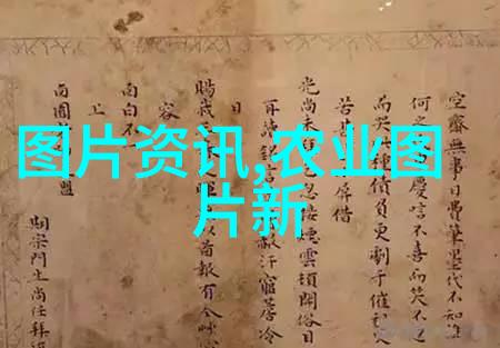 追逐季节变换品味生命美好春夏秋冬在青州花市上的风采