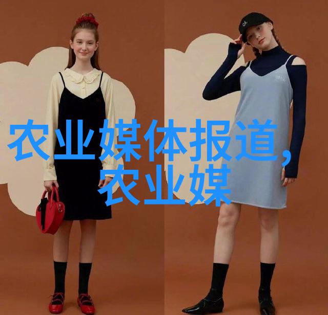 蜜蜂的守护者揭秘养蜂必备的神器们
