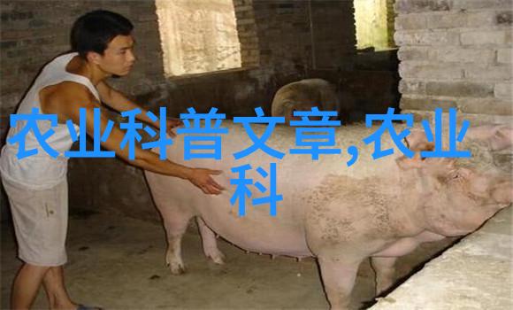 一颗梨有几个种子-剖析梨果之内探秘多种子的奇迹