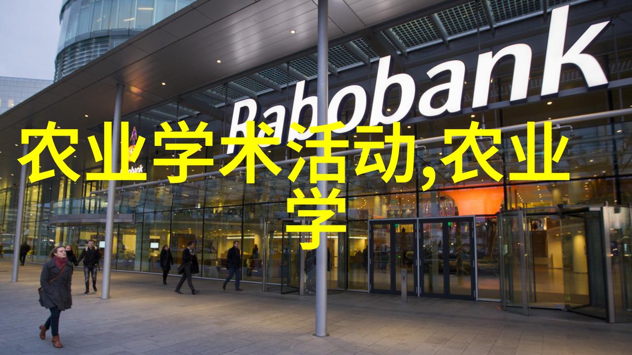 邻居相亲大赛邻里间的浪漫相亲盛会