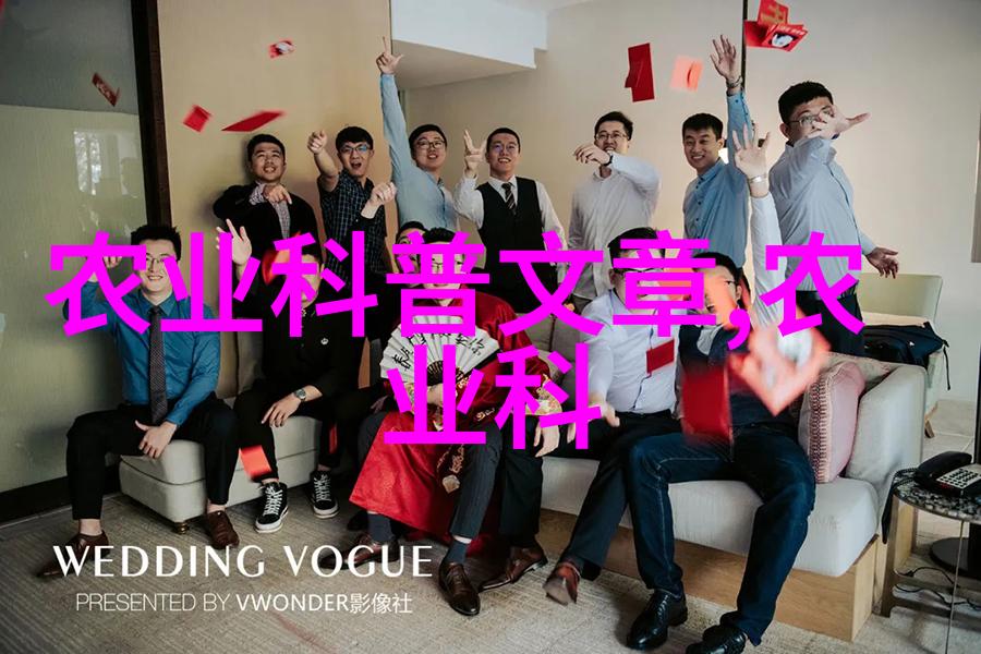 养蜂技巧-蜜蜂家园如何成功养殖甜蜜的伴侣