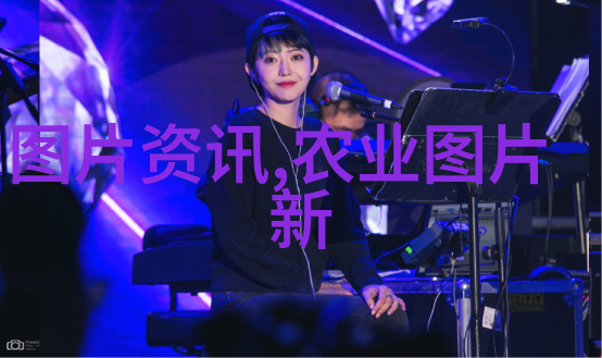 探索全球十大著名的观赏性蔷薇品种