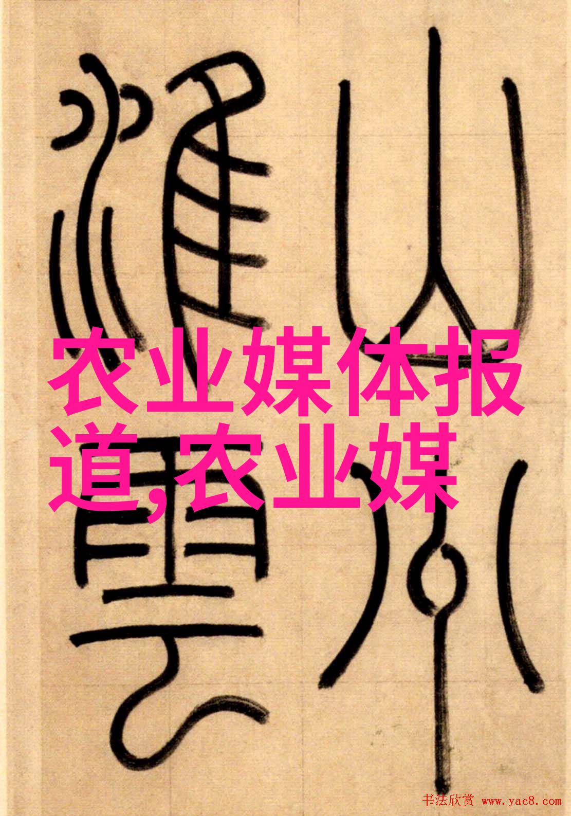 城市建设的未来市政工程技术人才的崛起与机遇