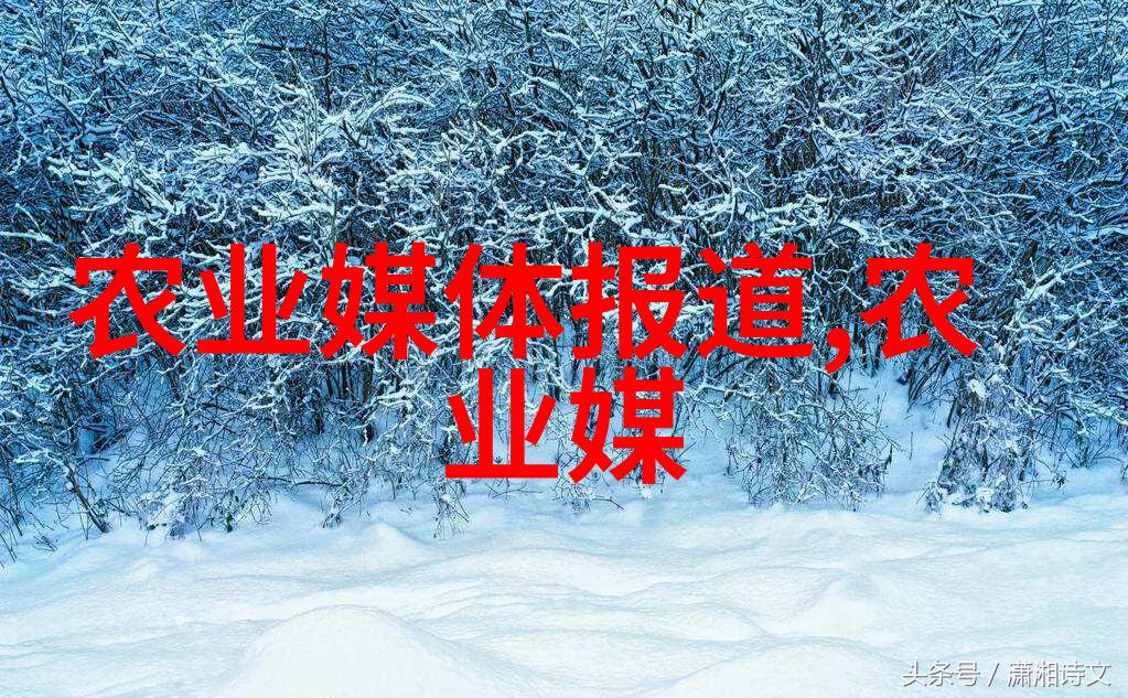 新手做蔬菜生意怎么拿货 - 蔬菜批发入门指南从选择供应商到确保质量