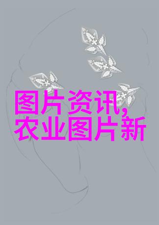 养羊入门揭秘首要知识点