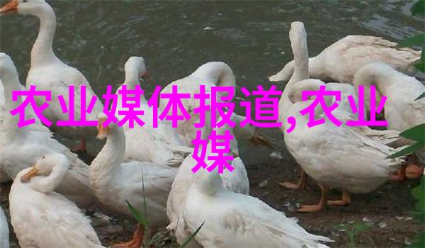 当代养殖业创新赚钱模式探究以智能技术与生态可持续为核心