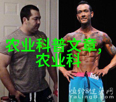 养殖技巧-精准栖息高效的柴鸡养殖技术与实践指南