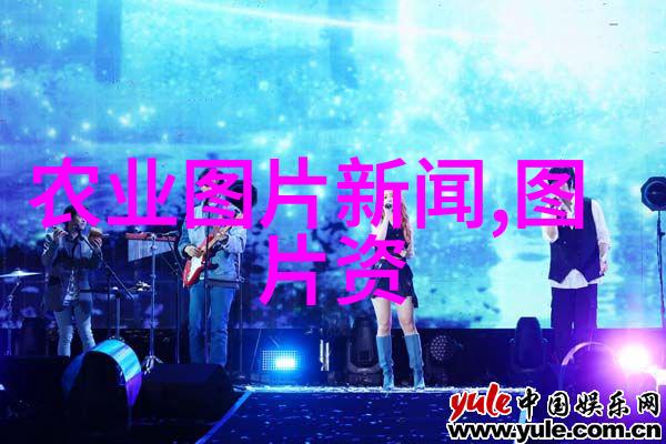 从零到英雄如何选择最适合我家的常见绿化苗木品种