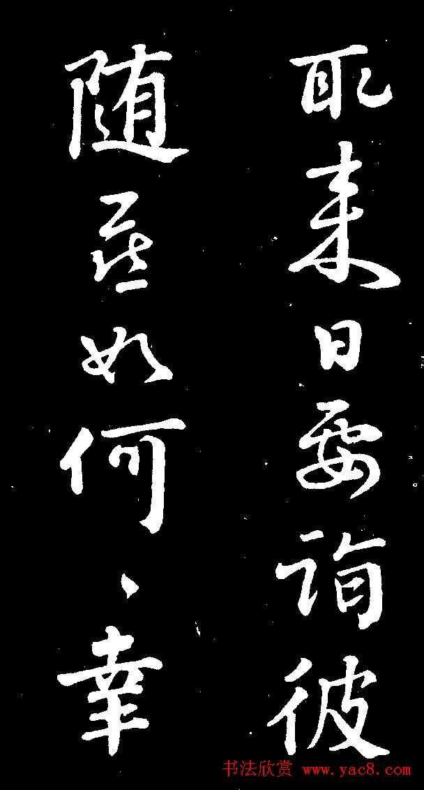 鲜果瑰宝色彩斑斓的水果籽艺术展